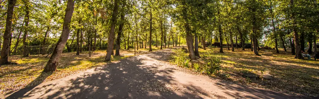 Le parc boisé du domaine Equilibrium, à Saussens
