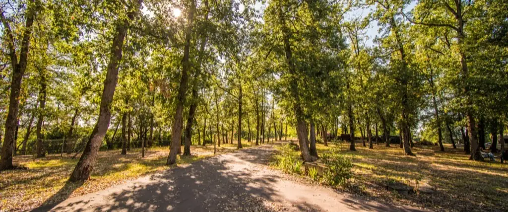 Le domaine La Grande Arche de Gaïa, en pleine nature, à Saussens