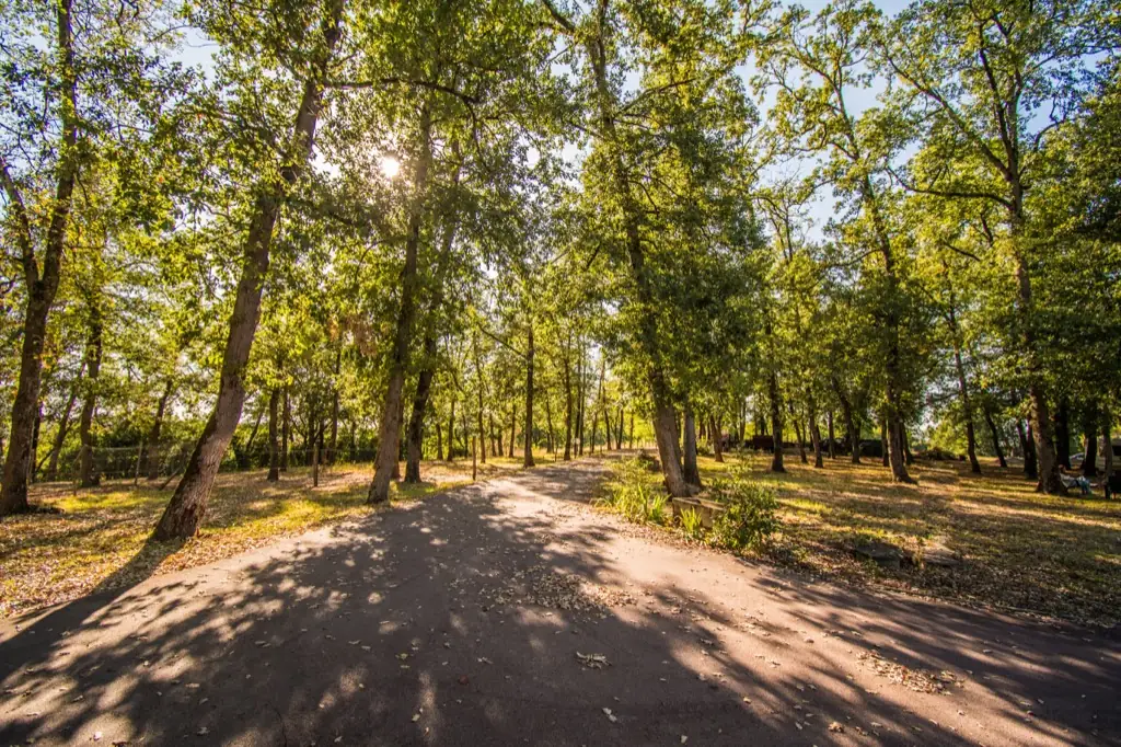 Le domaine La Grande Arche de Gaïa, en pleine nature